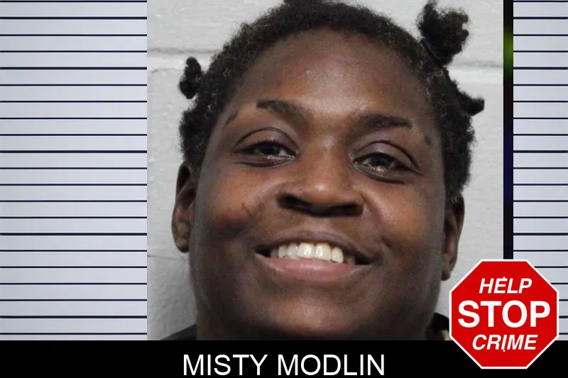 Misty Modlin Mugshots
