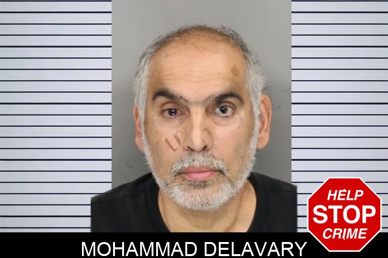 Mohammad Delavary mugshot