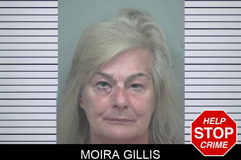 Moira Gillis mugshot – Gwinnett County , Georgia Moira Gillis mugshot
