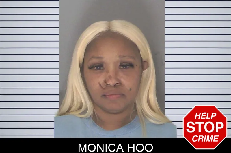 Monica Hoo mugshot