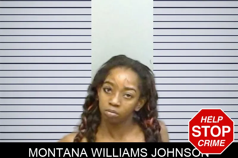 Montana Williams Johnson mugshot – Fulton County , Georgia Montana Williams Johnson mugshot