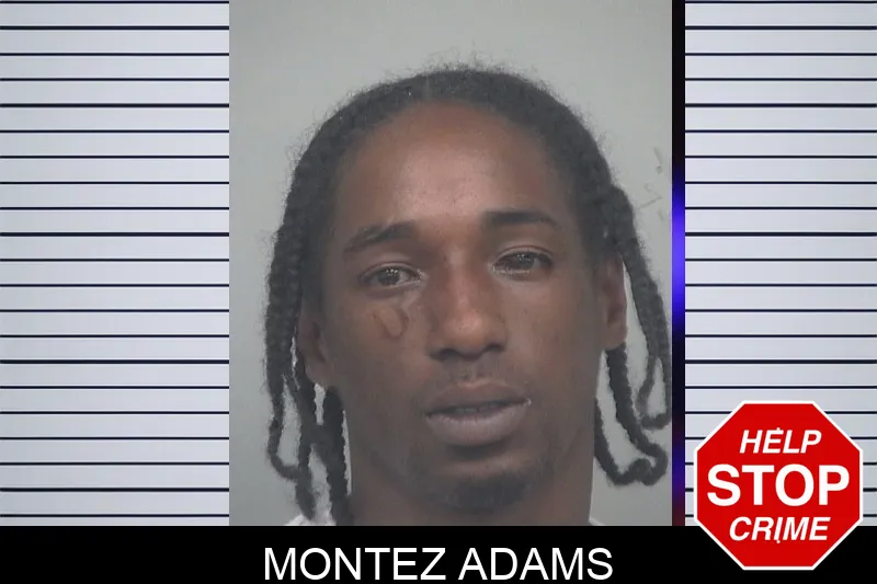 Montez Adams mugshot – Gwinnett County , Georgia Montez Adams mugshot