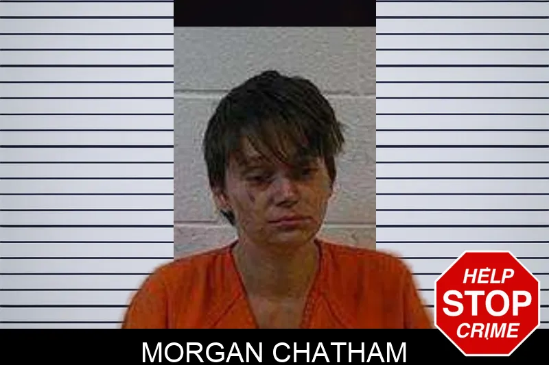 Morgan Chatham Mugshots