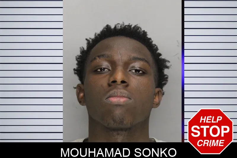 Mouhamad Sonko Mugshots