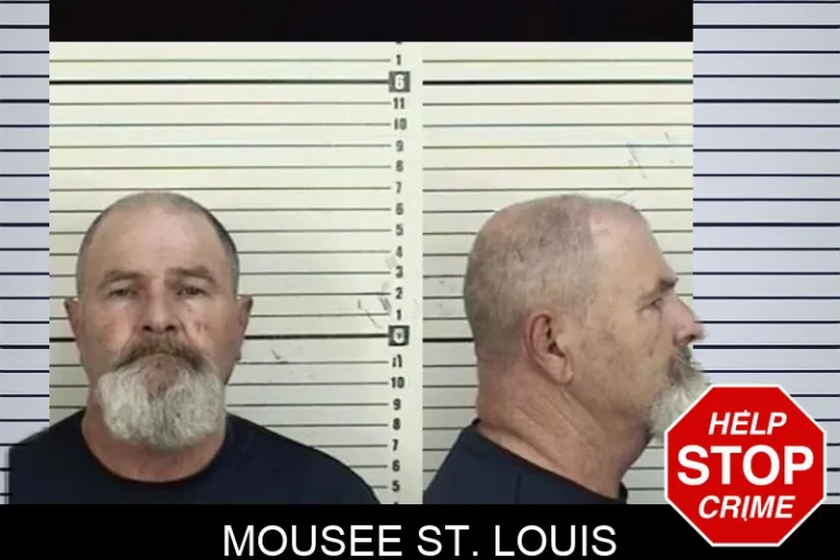 Mousee St. Louis mugshot – Camden County , Georgia Mousee St. Louis