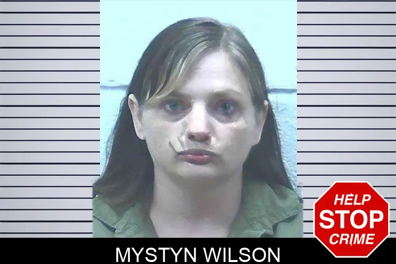 Mystyn Wilson Mugshots
