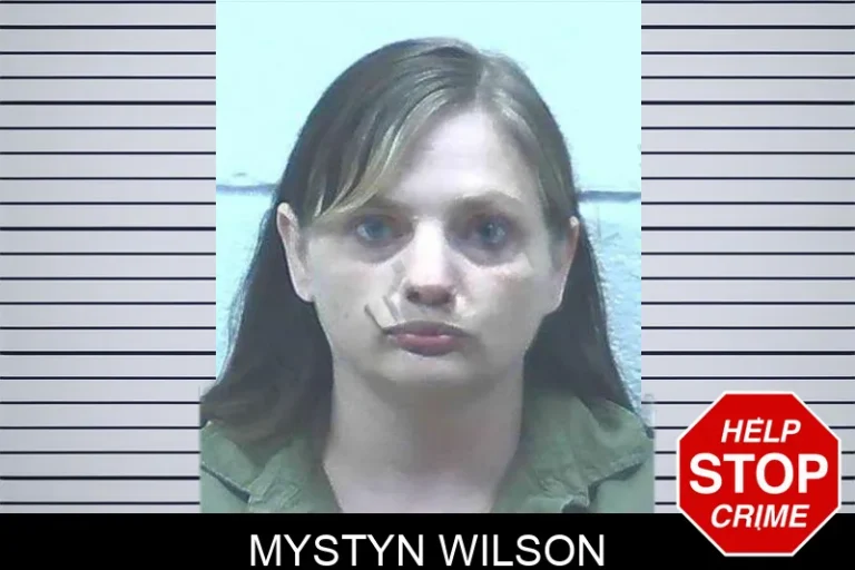 Mystyn Wilson mugshot – Jackson County , Georgia Mystyn Wilson