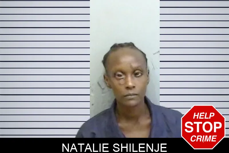 Natalie Shilenje mugshot – Fulton County , Georgia Natalie Shilenje mugshot