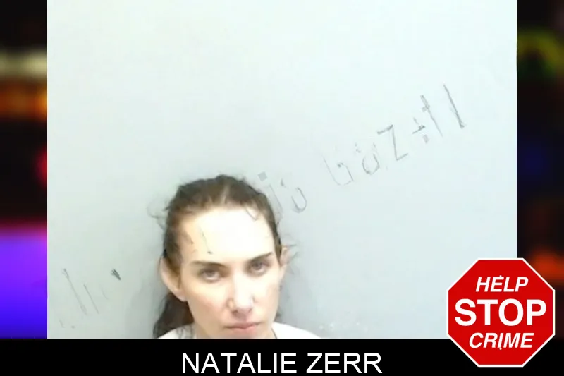 Natalie Zerr mugshot – Fulton County , Georgia Natalie Zerr mugshot