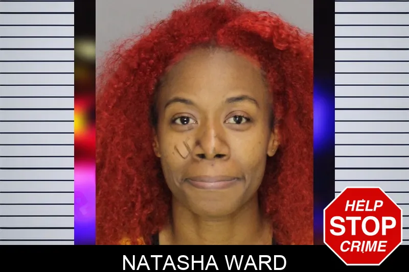 Natasha Ward mugshot – Cobb County , Georgia Natasha Ward mugshot