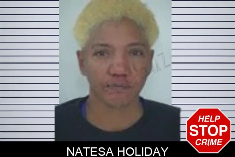 Natesa Holiday