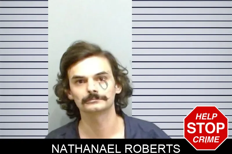 Nathanael Roberts mugshot