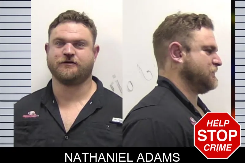 Nathaniel Adams Mugshots