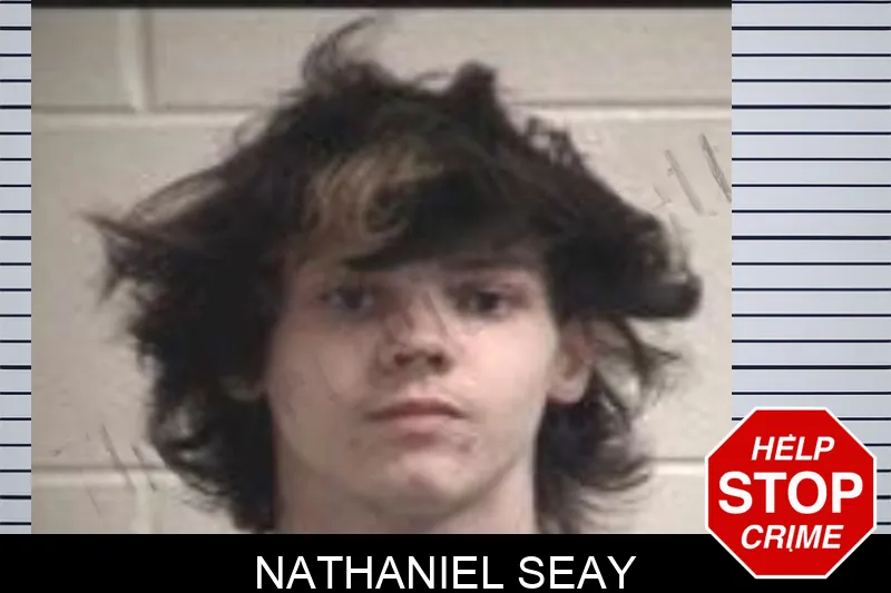 Nathaniel Seay mugshot