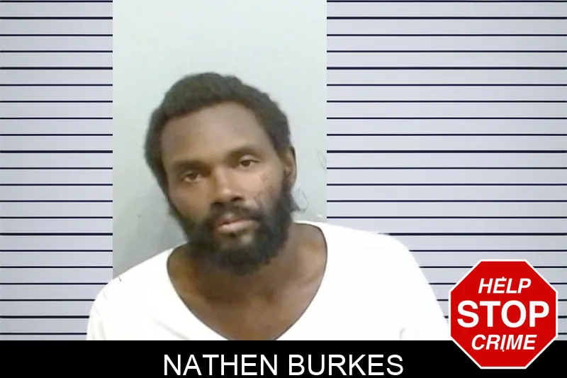 Nathen Burkes mugshot – Fulton County , Georgia Nathen Burkes mugshot