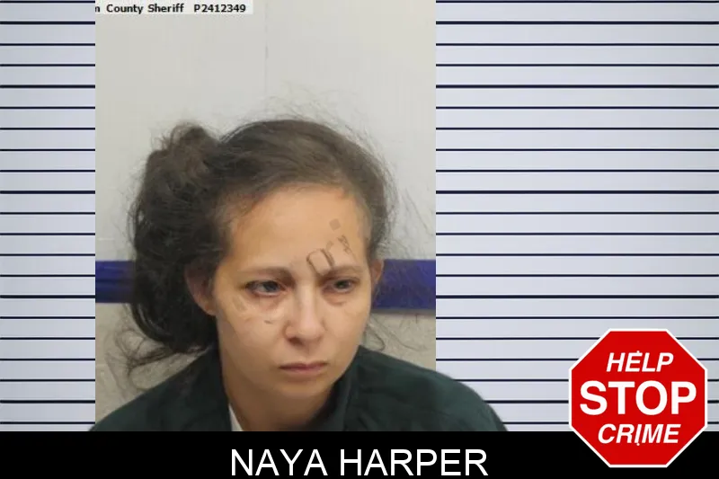 Naya Harper mugshot – Chatham County , Georgia Naya Harper mugshot