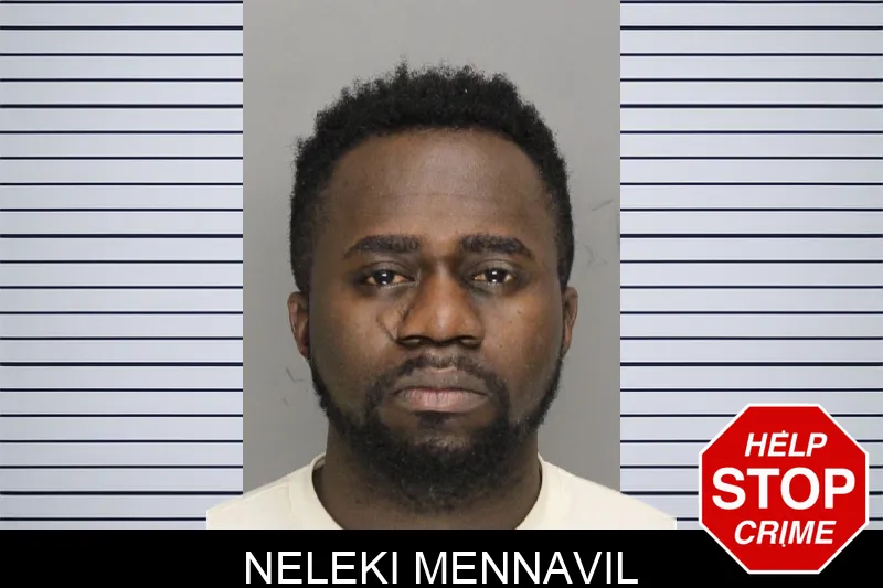 Neleki Mennavil mugshot