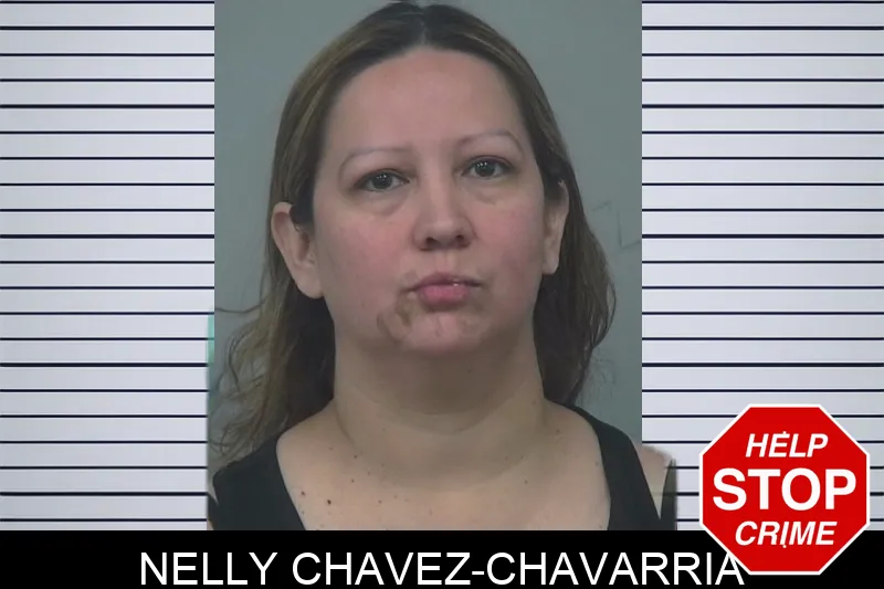 Nelly Chavez-Chavarria Mugshots
