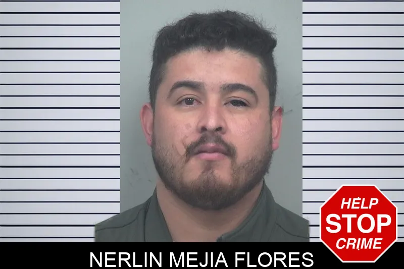 Nerlin Mejia Flores mugshot – Gwinnett County , Georgia Nerlin Mejia Flores mugshot