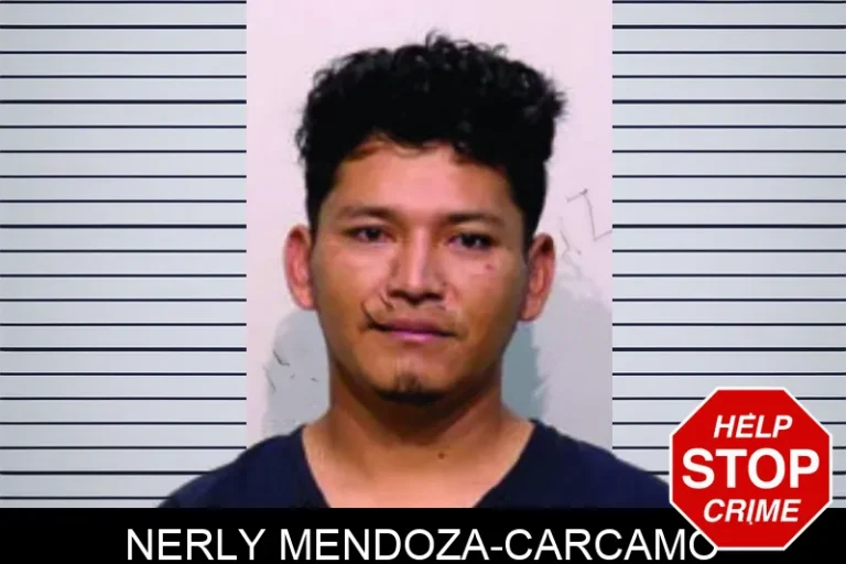 Nerly Mendoza-Carcamo mugshot – Bartow County , Georgia Nerly Mendoza-Carcamo