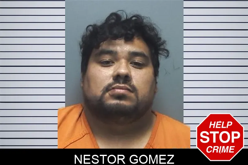 Nestor Gomez mugshot