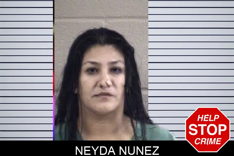 Neyda Nunez mugshot