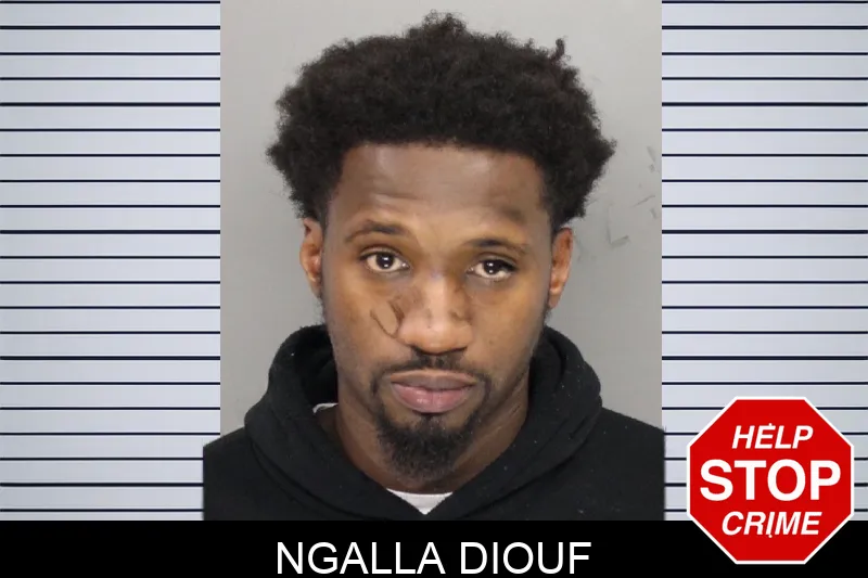 Ngalla Diouf mugshot – Cobb County , Georgia Ngalla Diouf mugshot