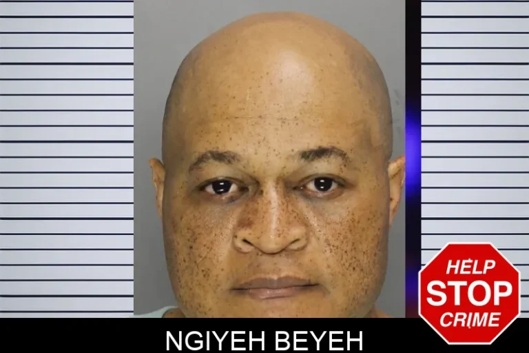 Ngiyeh Beyeh mugshot – Cobb County , Georgia Ngiyeh Beyeh