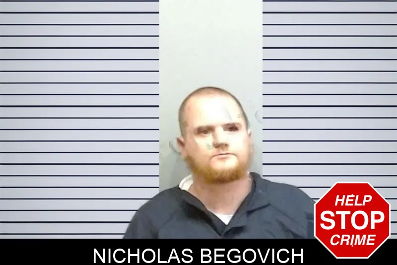 Nicholas Begovich mugshot