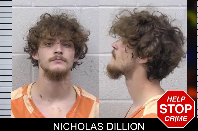 Nicholas Dillion mugshot – Paulding County , Georgia Nicholas Dillion mugshot