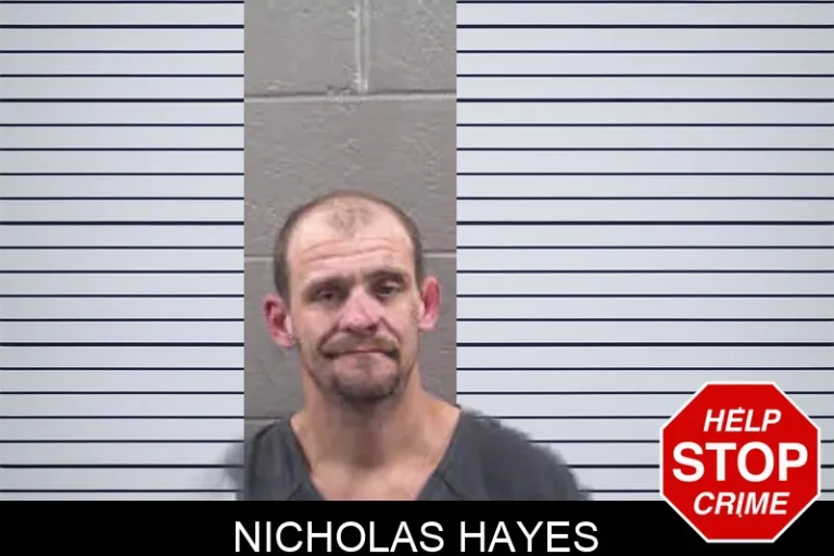 Nicholas Hayes