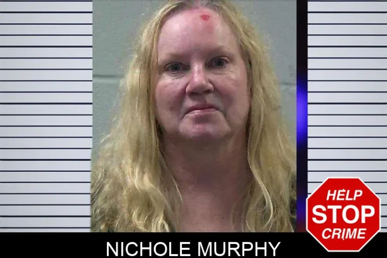 Nichole Murphy mugshot – Gilmer County , Georgia Nichole Murphy