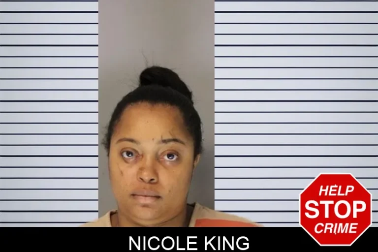 Nicole King mugshot β Hall County , Georgia Nicole King
