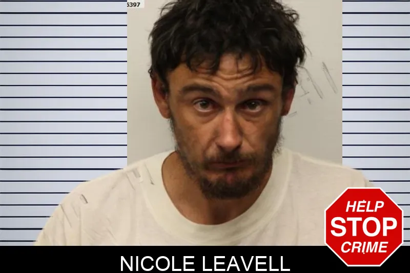Nicole Leavell mugshot