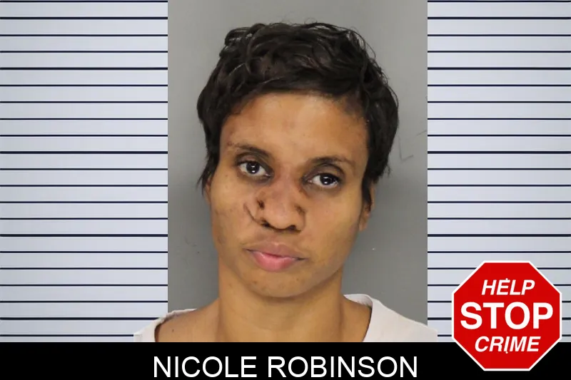 Nicole Robinson mugshot