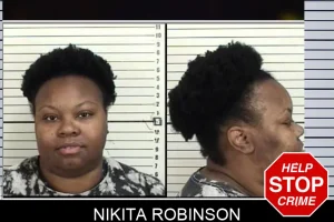 Nikita Robinson mugshot