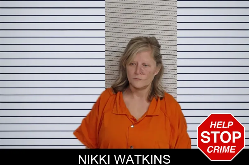 Nikki Watkins mugshot – Rockdale County , Georgia Nikki Watkins mugshot