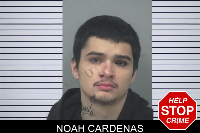 Noah Cardenas mugshot