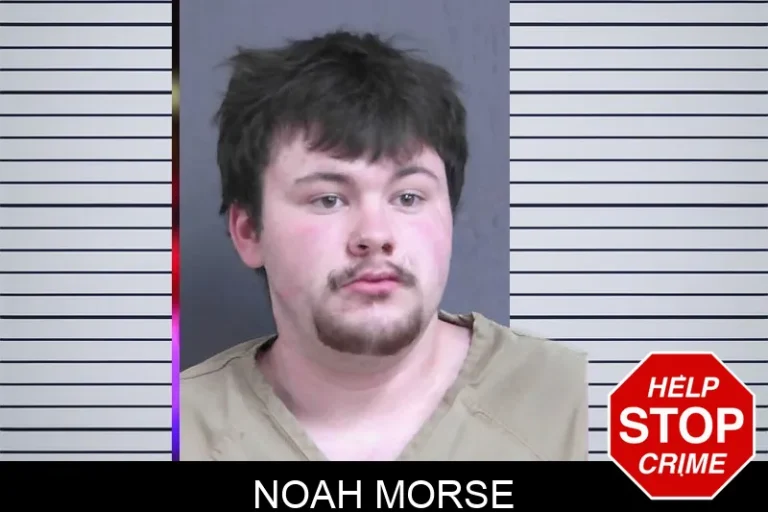 Noah Morse