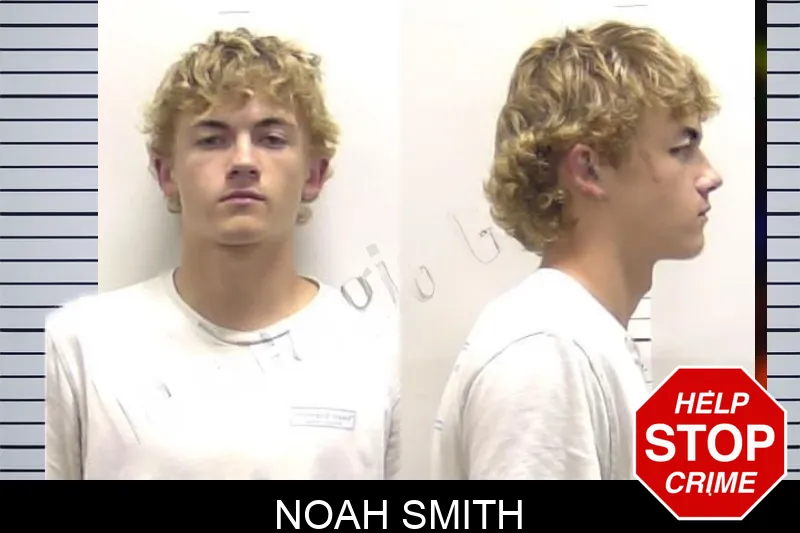 Noah Smith