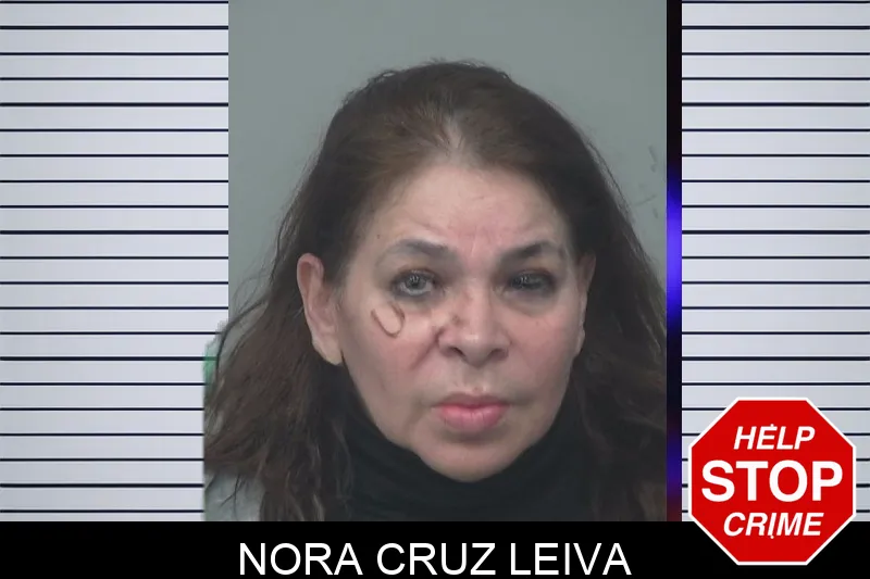 Nora Cruz Leiva Mugshots