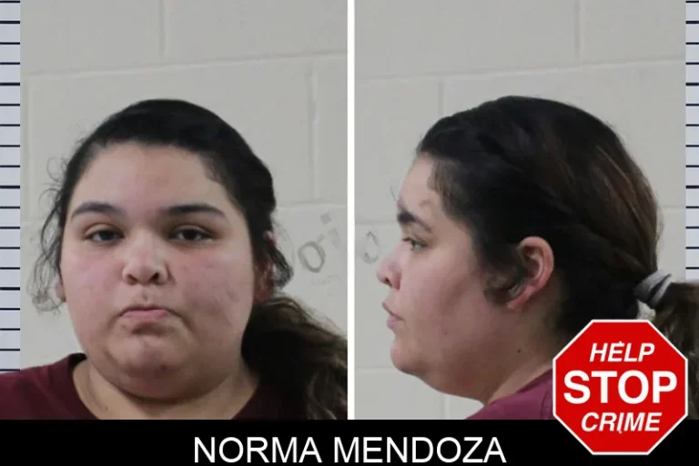Norma Mendoza mugshot – Houston County , Georgia Norma Mendoza