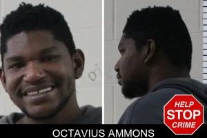 Octavius Ammons mugshot