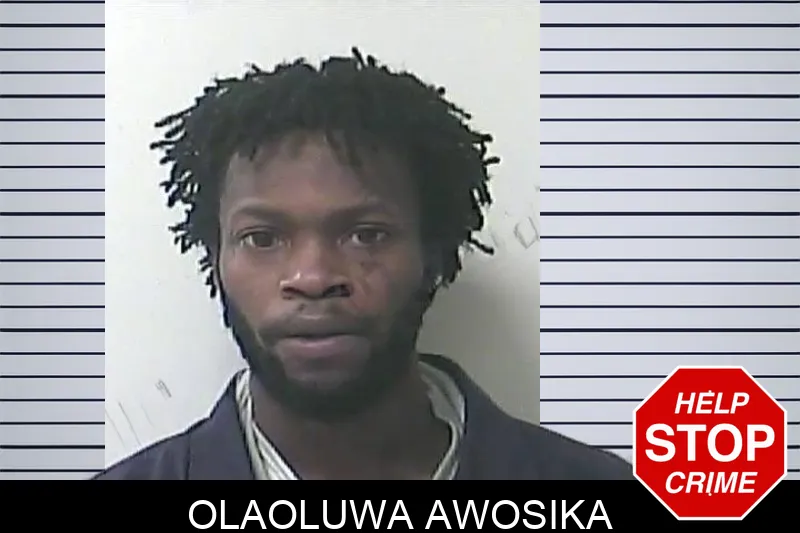 Olaoluwa Awosika mugshot