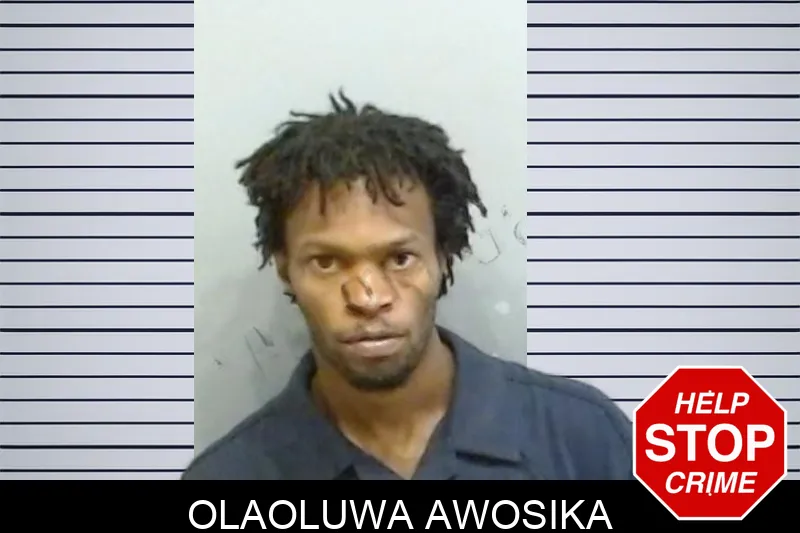 Olaoluwa Awosika