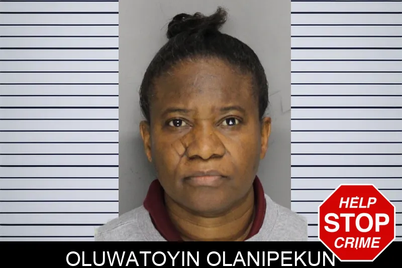 Oluwatoyin Olanipekun mugshot – Cobb County , Georgia Oluwatoyin Olanipekun mugshot