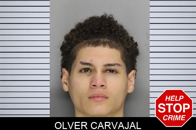 Olver Carvajal mugshot – Cobb County , Georgia Olver Carvajal mugshot