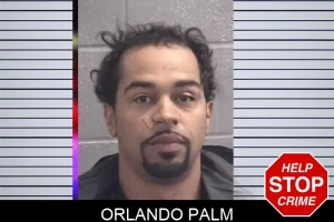 Orlando Palm mugshot