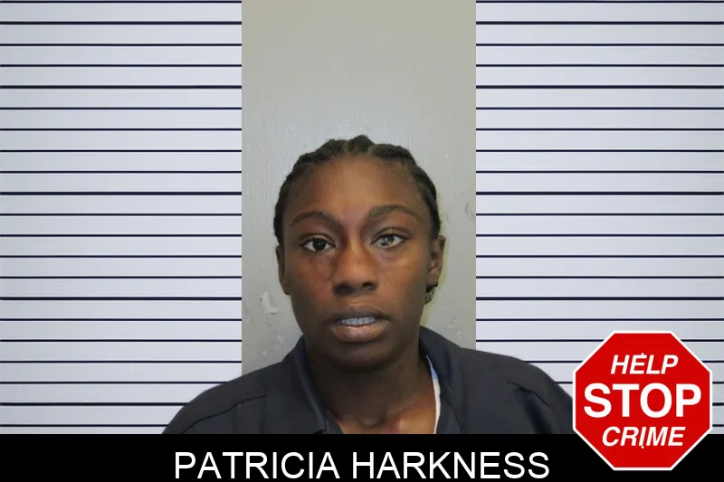 Patricia Harkness mugshot
