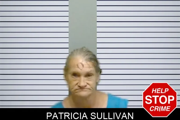 Patricia Sullivan